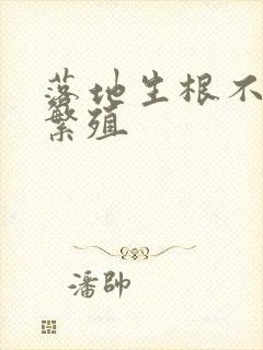 落地生根不定芽繁殖