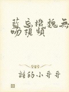 蓝忘机魏无羡亲吻视频