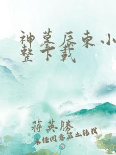 神墓辰东小说完整下载