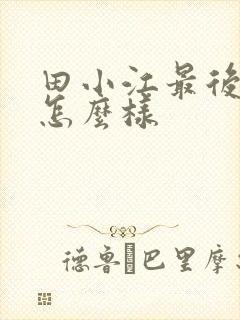 田小江最后结局怎么样
