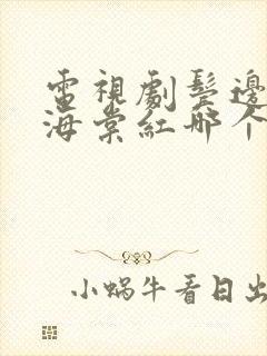 电视剧鬓边不是海棠红哪个台播出