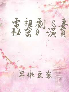 电视剧《妻子的秘密》演员表