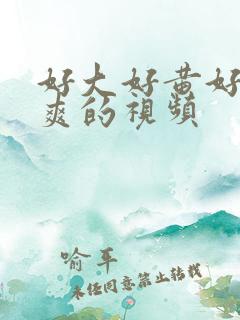好大好黄好猛好爽的视频