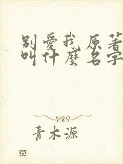 别爱我原著小说叫什么名字