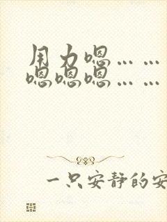 用力嗯……使劲嗯嗯嗯……