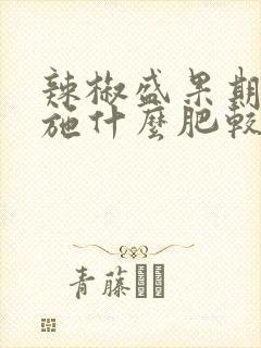 辣椒盛果期间应施什么肥较好