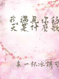 我遇见你的那一天是什么歌里的歌词
