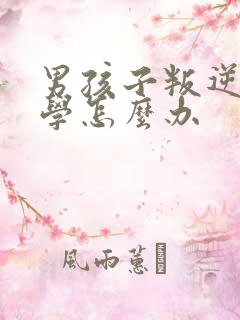 男孩子叛逆期厌学怎么办