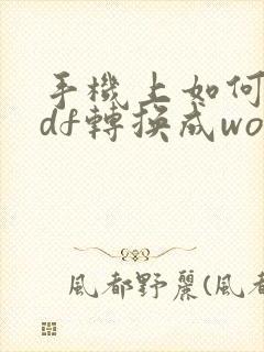 手机上如何把pdf转换成word文档