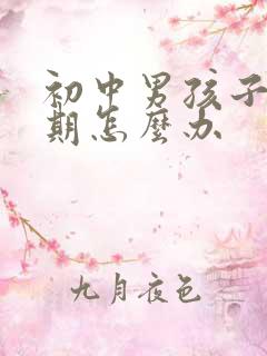 初中男孩子叛逆期怎么办