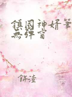 镇国神婿笔趣阁无弹窗