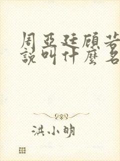 周亚廷顾若楠小说叫什么名字