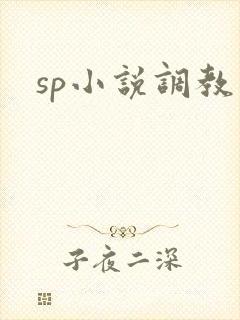 sp小说调教