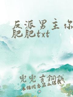 反派男主你好坏肥肥txt
