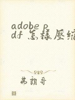 adobe pdf 怎样压缩文件大小