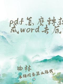 pdf怎么转换成word去底纹