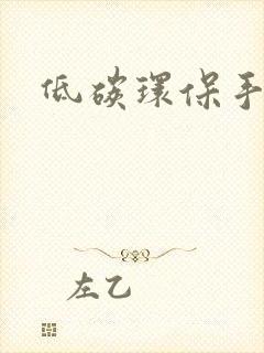 低碳环保手工画