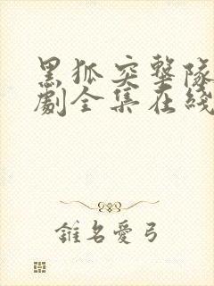 黑狐突击队电视剧全集在线云播放