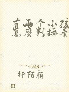 有两个小孩离婚怎么判抚养费