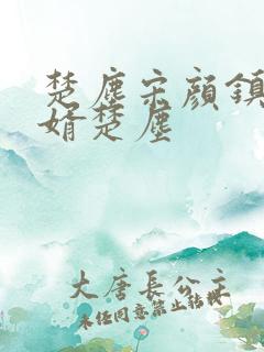 楚尘宋颜镇国神婿楚尘