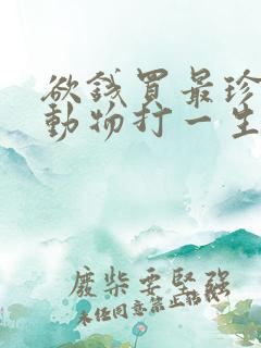 欲钱买最珍贵的动物打一生肖