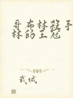 哥布林杀手哥布林的王冠