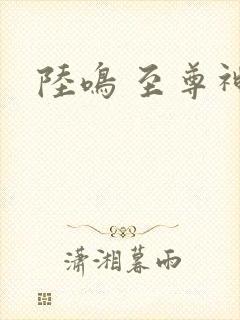陆鸣 至尊神殿