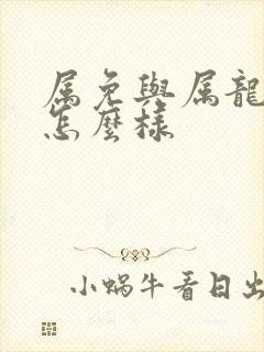 属免与属龙婚配怎么样