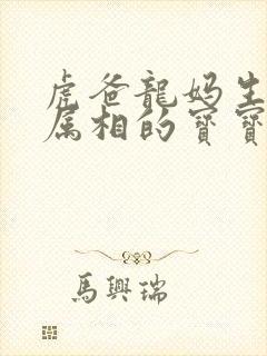 虎爸龙妈生什么属相的宝宝好