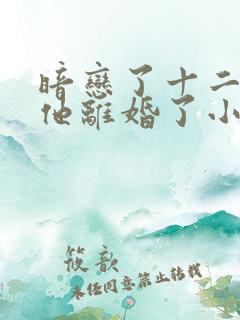 暗恋了十二年的他离婚了小说