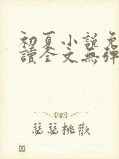 初夏小说免费阅读全文无弹窗