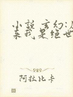 小说 玄幻:原来我是绝世高人