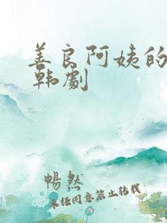 善良阿姨的秘密 韩剧