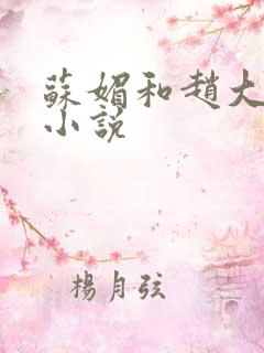 苏媚和赵大宝的小说