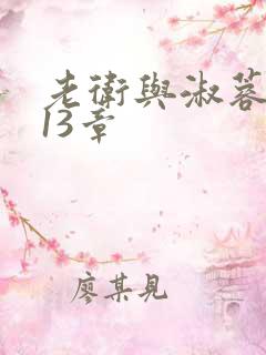 老卫与淑蓉小说13章