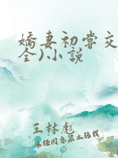 娇妻初尝交换(全)小说