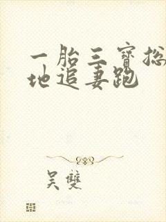 一胎三宝总裁爹地追妻跑