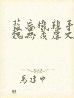 蓝忘机亲手杀死魏无羡虐文