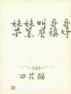 妹妹叫哥哥的儿子怎么称呼