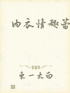 内衣情趣蕾丝