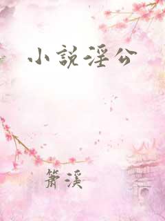 小说淫公