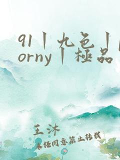 91丨九色丨porny丨极品