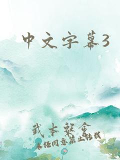中文字幕3