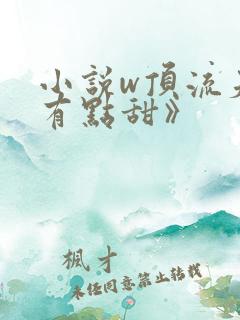 小说w顶流夫妇有点甜》