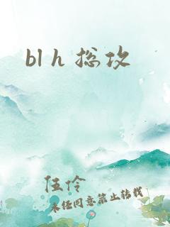 bl h 总攻