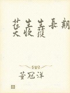 花生生长期多少天收获