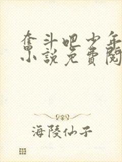 奋斗吧少年原著小说免费阅读