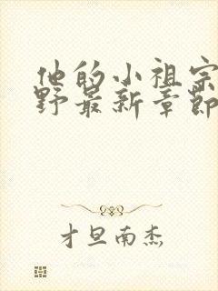 他的小祖宗甜又野最新章节txt