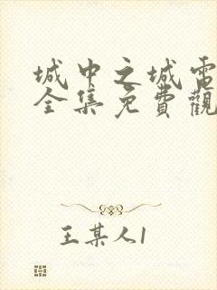 城中之城电视剧全集免费观看完整版