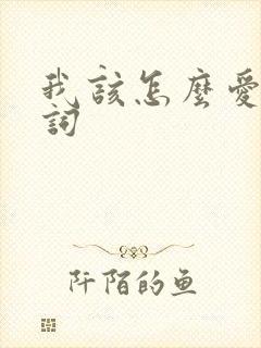 我该怎么爱你歌词